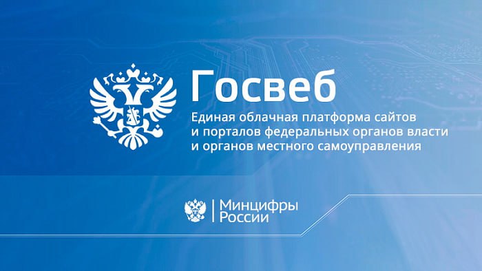 Минцифры ДНР на территории Донецкой Народной Республики реализует проект по созданию сайтов государственных учреждений